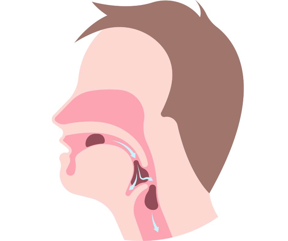 X-ray graphic side view of a persons head with food in mouth and going down throat while swallowing